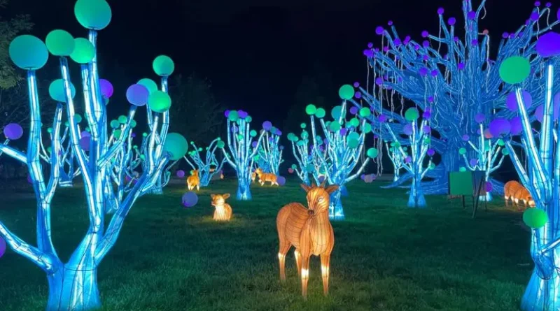 oakland-zoo-glowfari